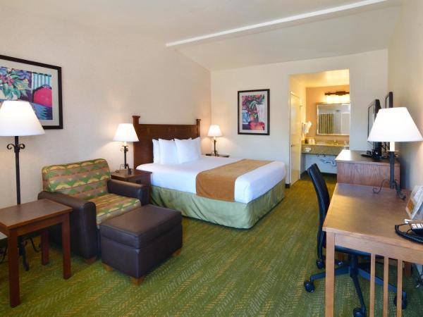 Lamplighter Inn & Suites at SDSU : photo 1 de la chambre chambre lit king-size - non-fumeurs