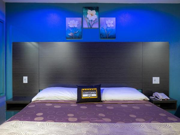 Downtowner Inns - Houston Downtown & Convention Center : photo 4 de la chambre chambre lit king-size