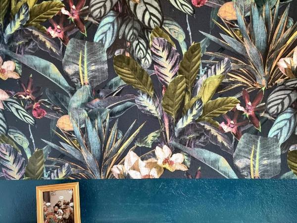 Hostel Lollis Homestay Dresden : photo 7 de la chambre appartement 2 chambres