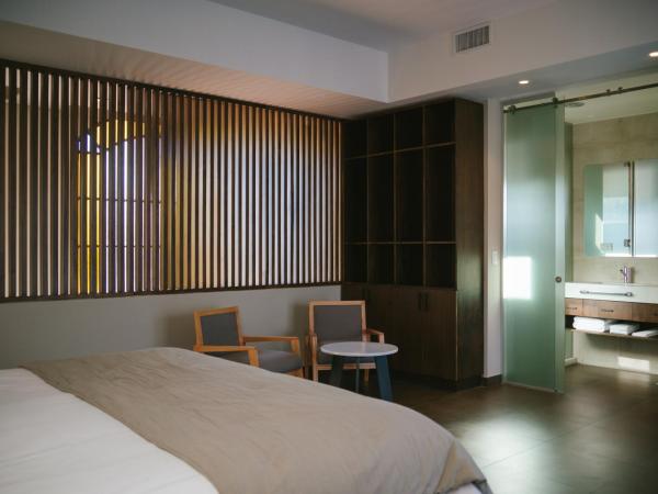 Casa Agostino - Luxury wine and hotel in Bodega Agostino : photo 3 de la chambre appartement deluxe