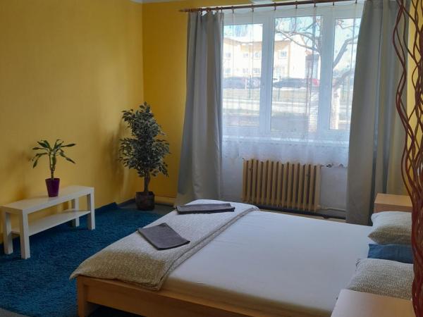 Motel Grádo : photo 6 de la chambre chambre double standard avec douche