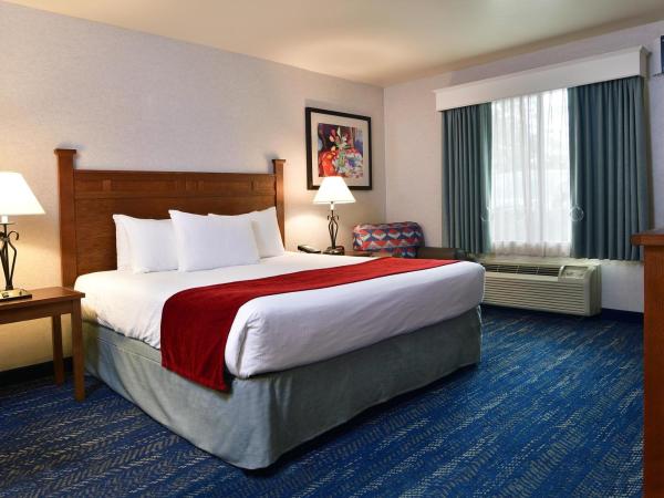 Lamplighter Inn & Suites at SDSU : photo 2 de la chambre chambre lit king-size avec douche accessible en fauteuil roulant - adaptée aux personnes à mobilité réduite