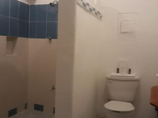 Bea rooms and studios : photo 5 de la chambre chambre triple confort avec douche