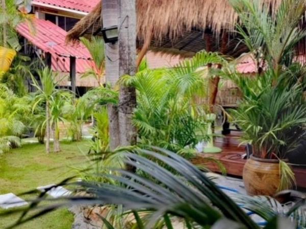 JOP : photo 4 de la chambre chambre double - vue sur jardin