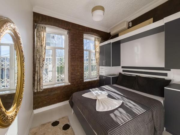 Taksim Hostel Green House Istanbul : photo 10 de la chambre appartement 1 chambre