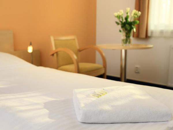 Penzion Krumlov - B&B - Massage studio : photo 3 de la chambre chambre double standard