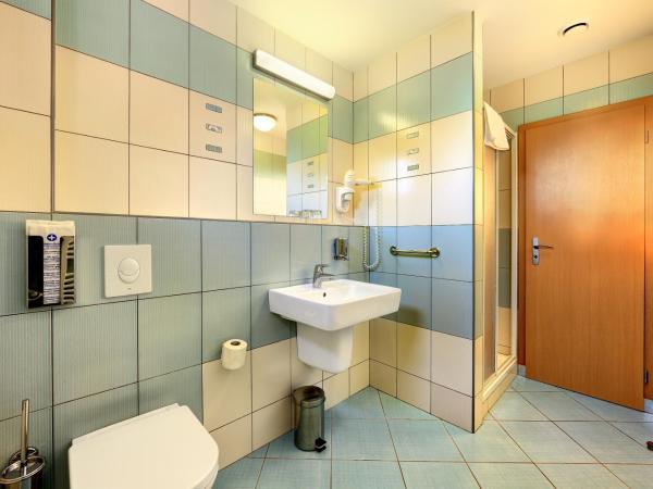Penzion Krumlov - B&B - Massage studio : photo 4 de la chambre chambre double standard