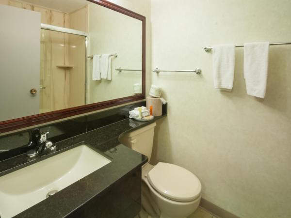 Best Western Airport Inn : photo 8 de la chambre chambre lit queen-size - non-fumeurs