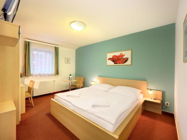 Penzion Krumlov - B&B - Massage studio : photo 5 de la chambre chambre double standard