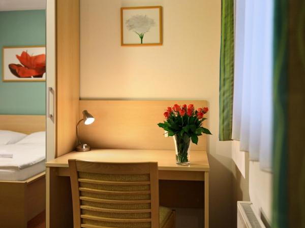 Penzion Krumlov - B&B - Massage studio : photo 9 de la chambre chambre double standard