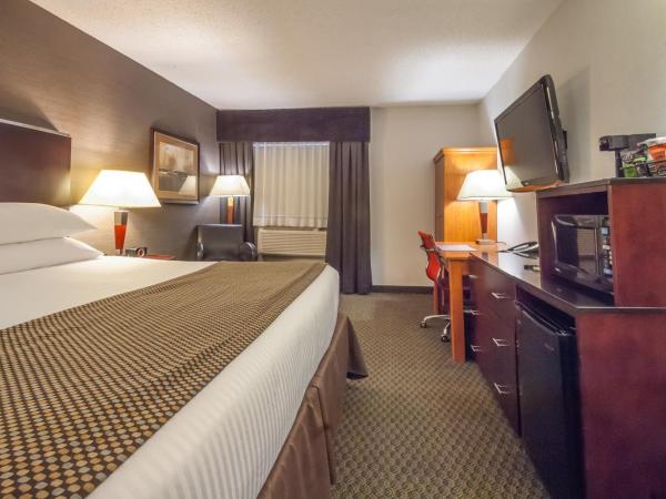 Best Western Airport Inn : photo 6 de la chambre chambre lit king-size - non-fumeurs