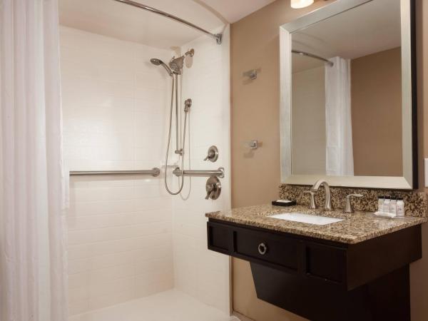Delta Hotels by Marriott Orlando Lake Buena Vista : photo 3 de la chambre chambre lit king-size