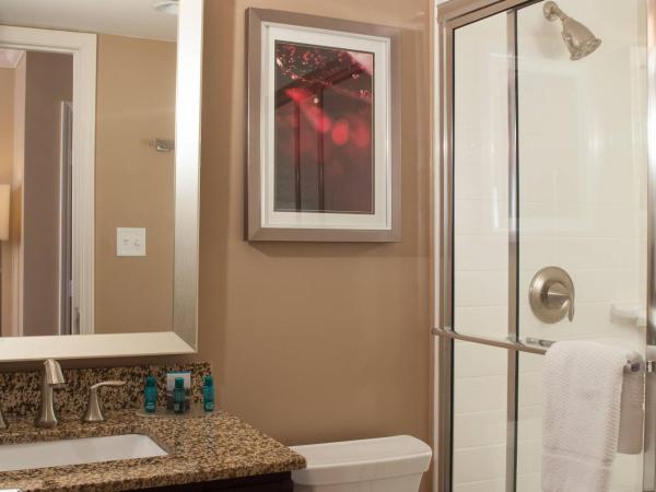 Delta Hotels by Marriott Orlando Lake Buena Vista : photo 4 de la chambre chambre lit king-size