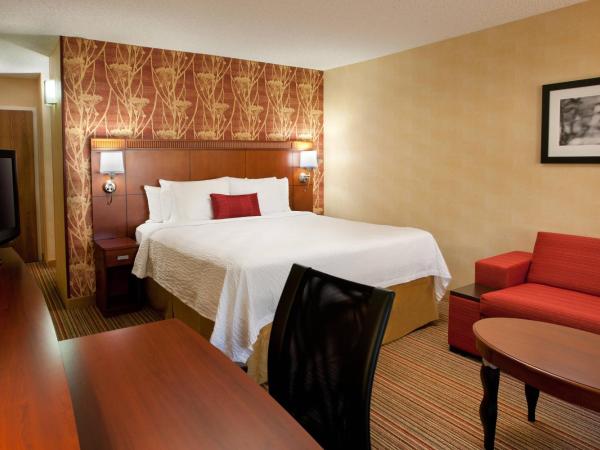 Courtyard Sacramento Airport Natomas : photo 1 de la chambre chambre lit king-size avec canapé-lit