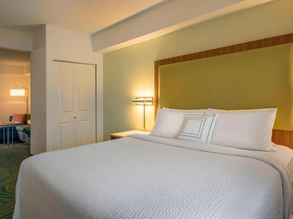 SpringHill Suites by Marriott Charlotte Airport : photo 2 de la chambre studio lit king-size