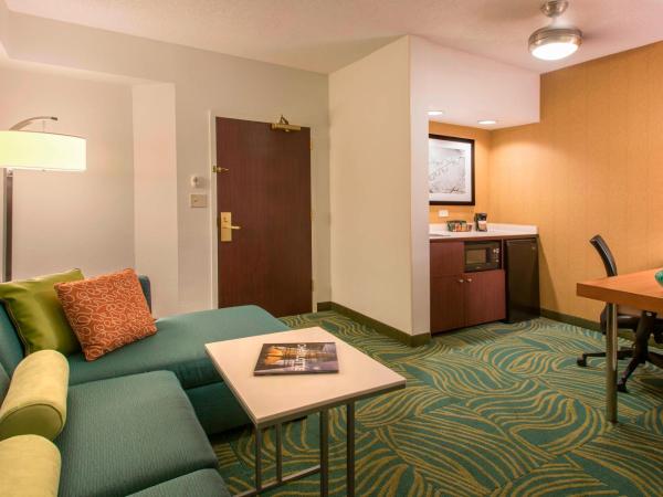 SpringHill Suites by Marriott Charlotte Airport : photo 3 de la chambre studio lit king-size