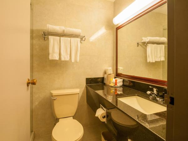 Best Western Airport Inn : photo 7 de la chambre chambre lit queen-size - non-fumeurs