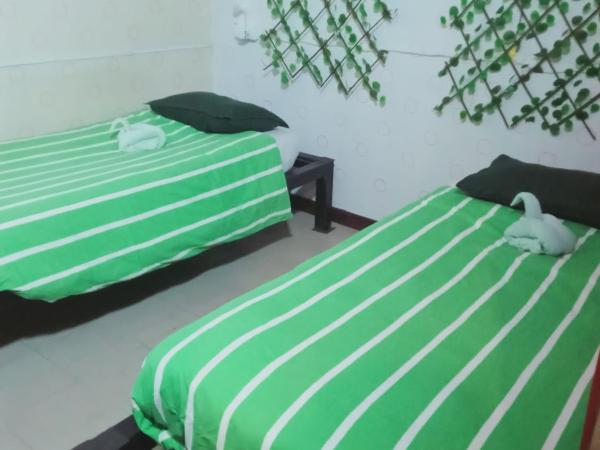 Birdnest Guesthouse, Gaia Rooftop Cafe : photo 2 de la chambre lit simple dans dortoir pour femmes