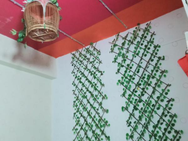 Birdnest Guesthouse, Gaia Rooftop Cafe : photo 1 de la chambre lit simple dans dortoir pour femmes