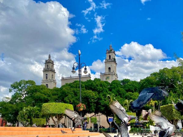 Casa Colonial González : photo 2 de la chambre chambre double
