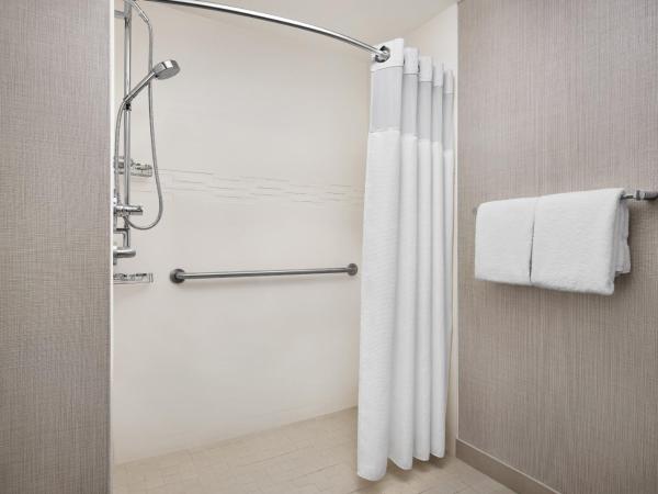 Residence Inn by Marriott Austin Airport : photo 1 de la chambre studio suite with sofa bed and roll-in shower - mobility accessible