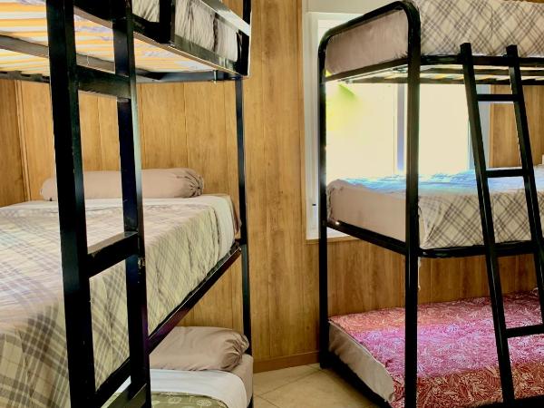 Hostel Best Stay : photo 4 de la chambre lit superposé dans dortoir mixte