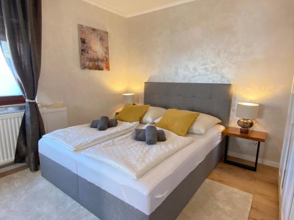 Schulz Apartments Zentrum : photo 6 de la chambre appartement - rez-de-chaussée