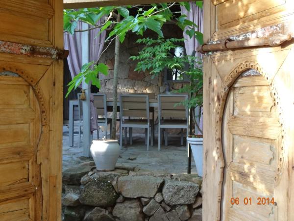 Maranatha Résidence avec plage privée, piscine chauffée : photo 8 de la chambre villa 2 chambres - vue sur jardin - palmier