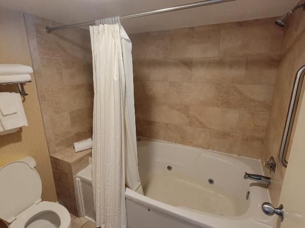 Four Sails Resort : photo 10 de la chambre suite standard
