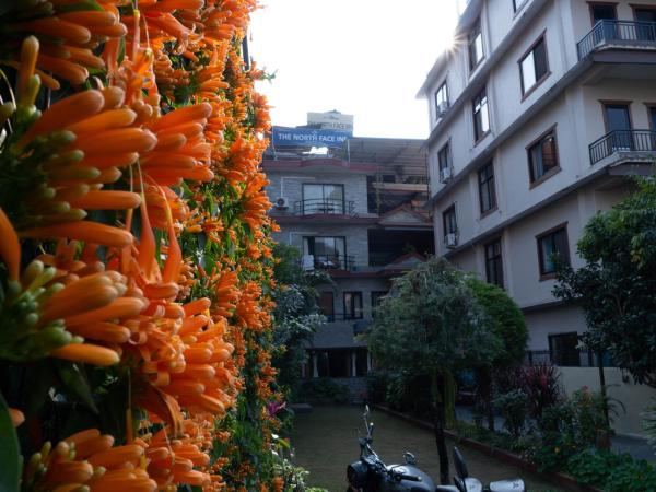 The North Face Inn : photo 7 de la chambre chambre familiale deluxe