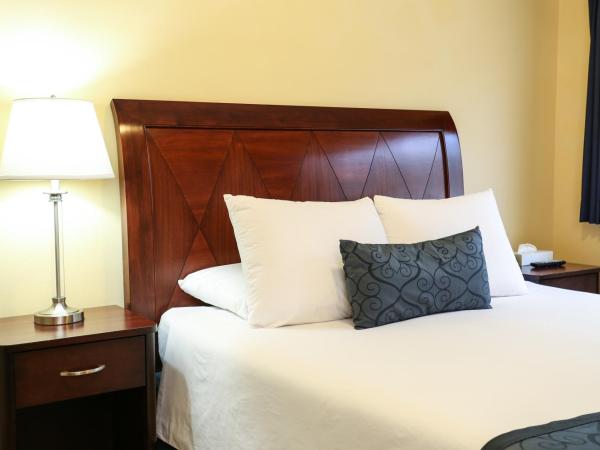 The Hotel Hollywood : photo 1 de la chambre ce studio comprend une cuisine.