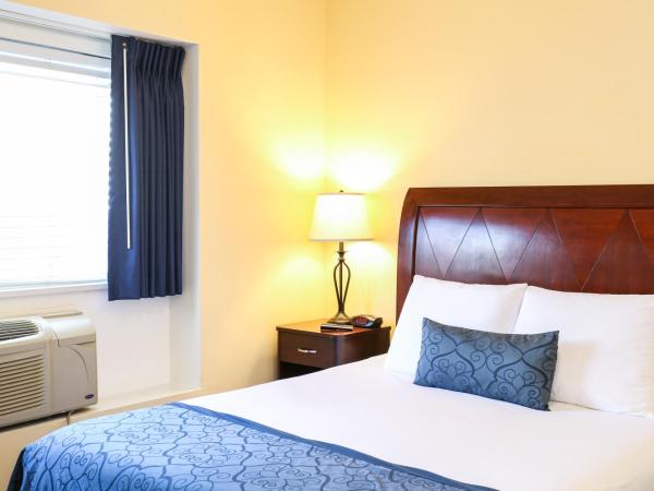 The Hotel Hollywood : photo 7 de la chambre chambre lit queen-size 