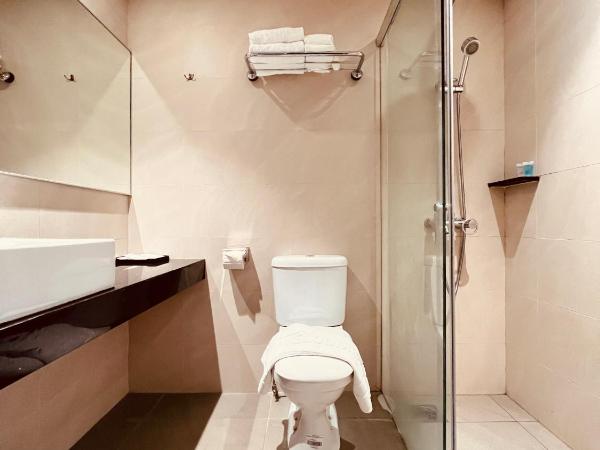 Park View Hotel : photo 6 de la chambre chambre double ou lits jumeaux supérieure