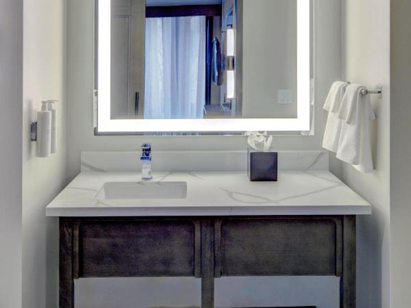 Embassy Suites By Hilton Virginia Beach Oceanfront Resort : photo 4 de la chambre suite studio lit king-size