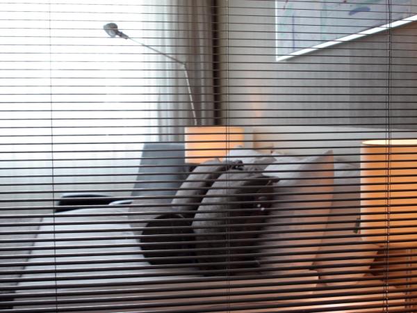 CPAnkara Hotel : photo 1 de la chambre chambre double standard