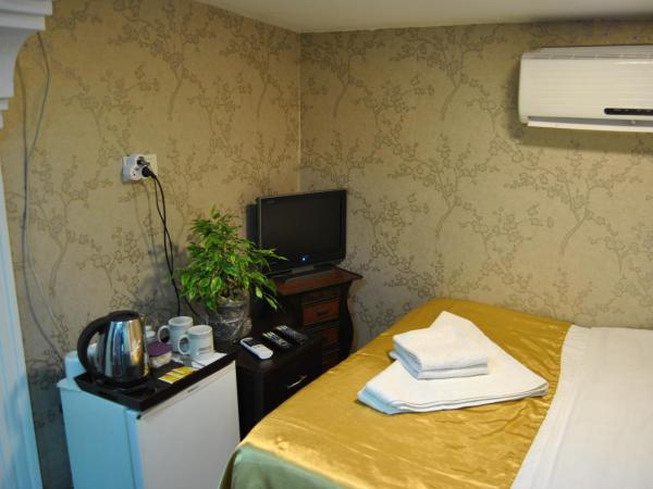 Lotus Hotel : photo 3 de la chambre chambre simple Économique