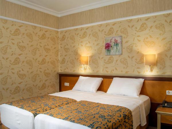 Palm Hotel : photo 8 de la chambre chambre double ou lits jumeaux standard