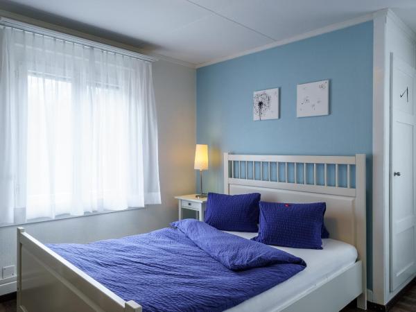 Hotel Alphorn : photo 2 de la chambre chambre simple avec douche