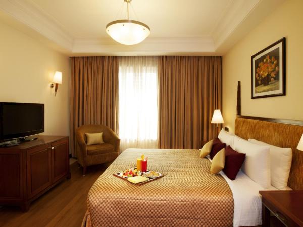The Accord Metropolitan : photo 1 de la chambre premier double room with 20% off on food and soft beverages 15% off on spa services