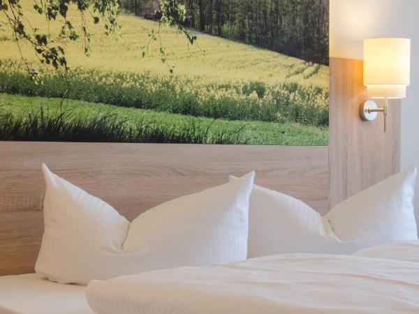 Garden Hotel : photo 6 de la chambre chambre standard avec lit queen-size