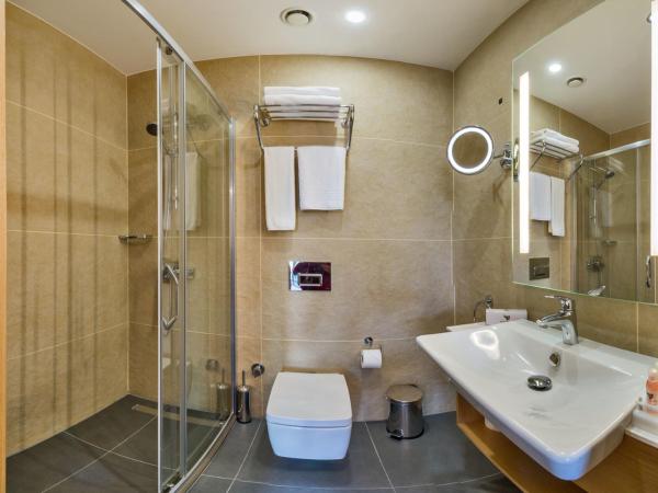 Hotel Boursier 1 & Spa : photo 4 de la chambre suite penthouse