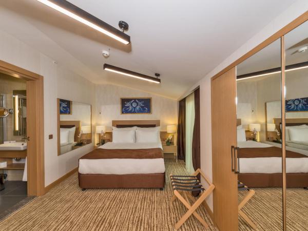 Hotel Boursier 1 & Spa : photo 3 de la chambre suite penthouse