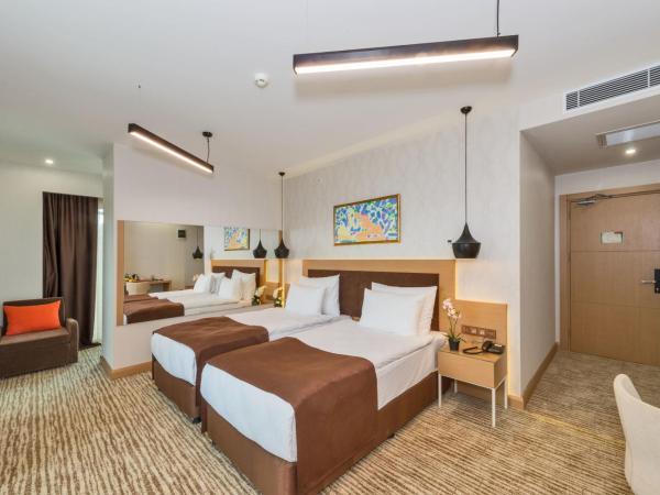 Hotel Boursier 1 & Spa : photo 1 de la chambre chambre double ou lits jumeaux standard