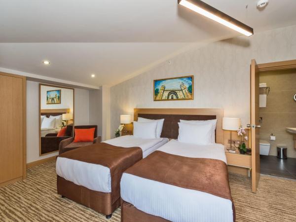 Hotel Boursier 1 & Spa : photo 5 de la chambre suite penthouse