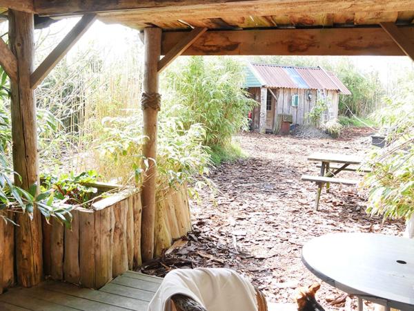 Bamboo Lodge Groningen : photo 7 de la chambre chalet 1 chambre