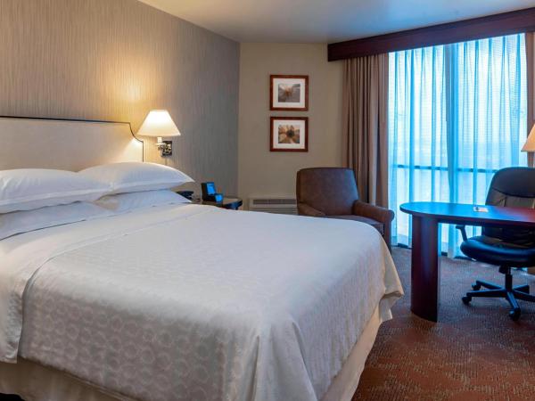 Sheraton Houston Brookhollow : photo 1 de la chambre traditional, concierge lounge access, guest room, 1 queen
