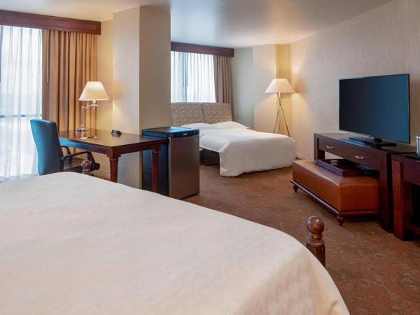 Sheraton Houston Brookhollow : photo 5 de la chambre suite junior - suite junior 1 lit king-size avec canapé-lit