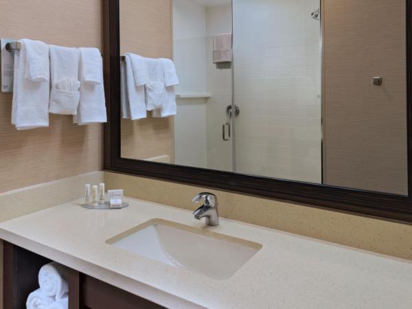 Fairfield Inn and Suites by Marriott Austin Northwest/Research Blvd : photo 3 de la chambre chambre lit king-size