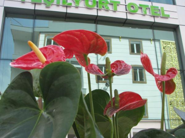 Yeşilyurt otel : photo 4 de la chambre chambre simple deluxe