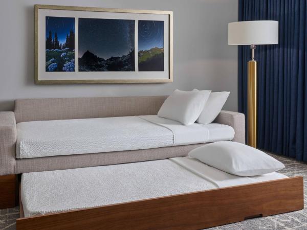 SpringHill Suites by Marriott Denver Downtown : photo 4 de la chambre studio lit king-size avec canapé-lit